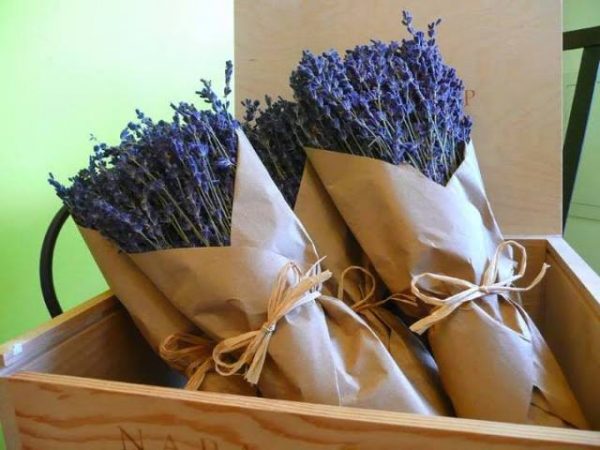 Cách bảo quản hoa Lavender khô cho hoa luôn thơm mới